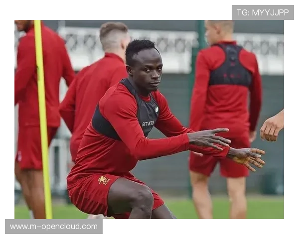 体育传播体系内向化,鼓励员工成为品牌大使。 体育传播体系内向化,鼓励员工成为品牌大使。